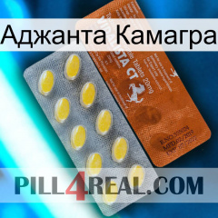 Аджанта Камагра 42